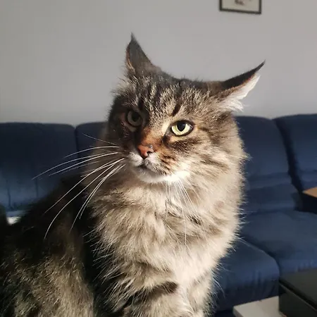 Kwatera prywatna Aqua *