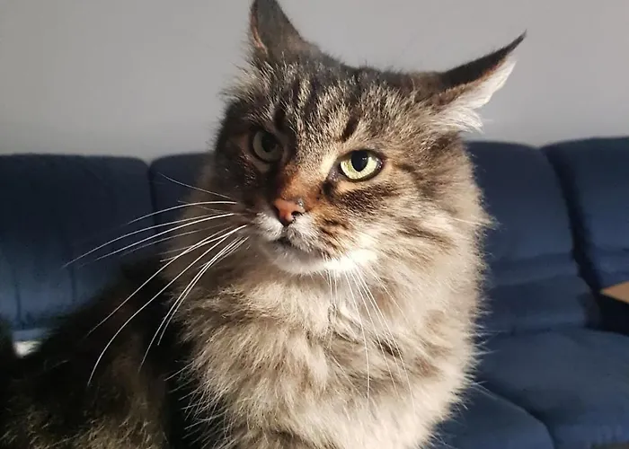 Quarto em Acomodações Particulares Aqua *